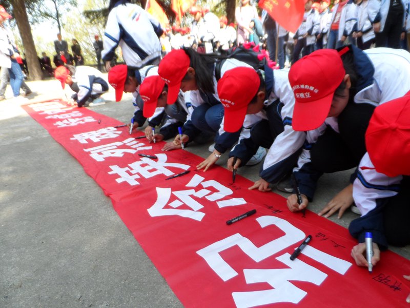 盐城旅游团最新动态:感受四季风光之美